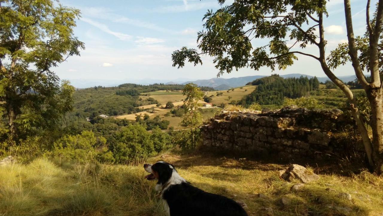 Les Soleillas Pour Votre Zen'Ittude Chalencon Exteriér fotografie